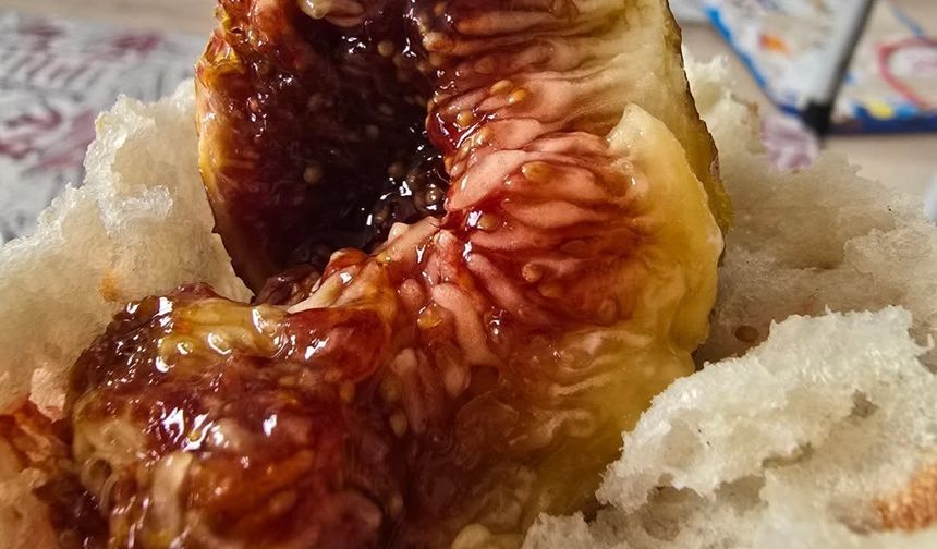 Anadolu’nun Samimi Lezzeti Ekmek Arası İncir