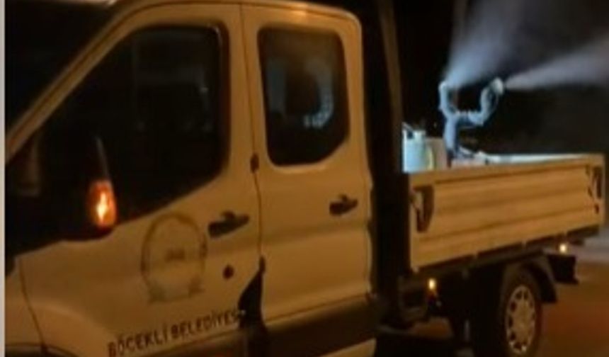 Böcekli’de Haşereye Karşı Tam Mücadele