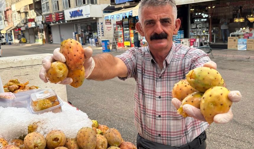 Dikenli mi Dikensiz mi? Adana’nın İncir Tercihi