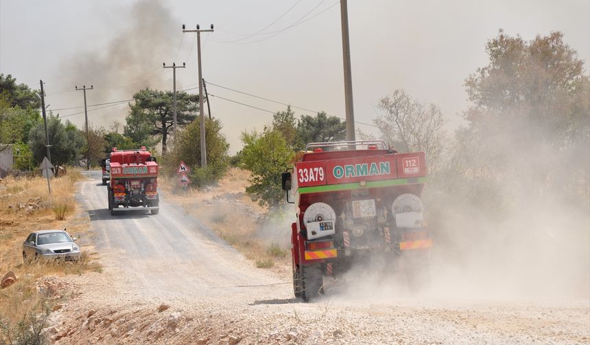 GÜNCELLEME 2 - Mersin'de ormanlık alanda yangın çıktı