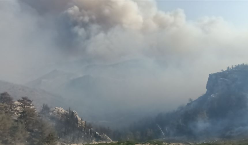GÜNCELLEME 3 - Mersin'de ormanlık alanda yangın çıktı