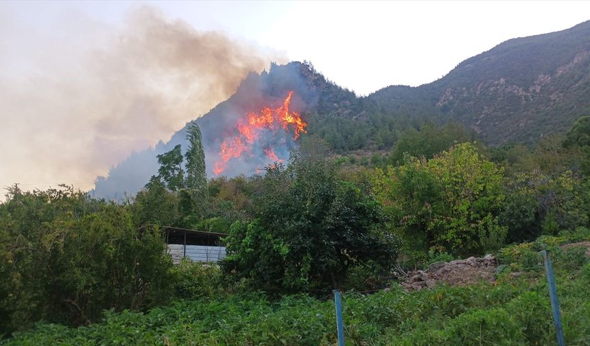 GÜNCELLEME - Hatay Kırıkhan'da çıkan orman yangını kontrol altına alındı