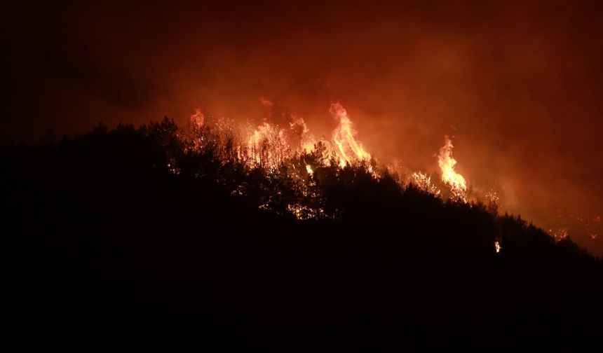 GÜNCELLEME - Hatay'da ormanlık alanda çıkan yangına müdahale ediliyor