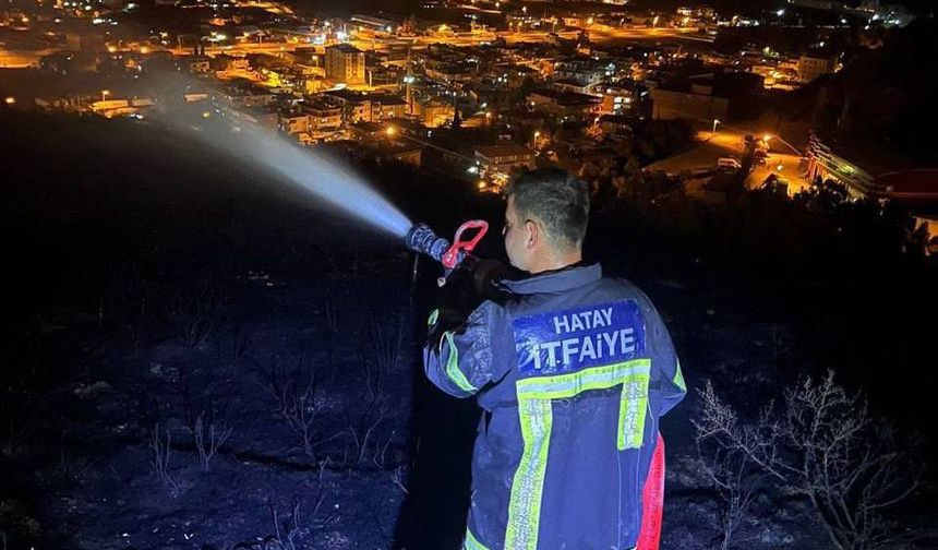 Hatay Antakya'da çıkan orman yangını kontrol altına alındı