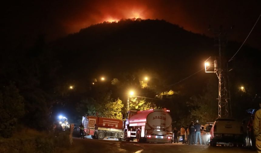 Hatay'da ormanlık alanda çıkan yangına müdahale ediliyor