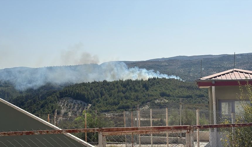 Hatay'da ormanlık alanda yangın çıktı
