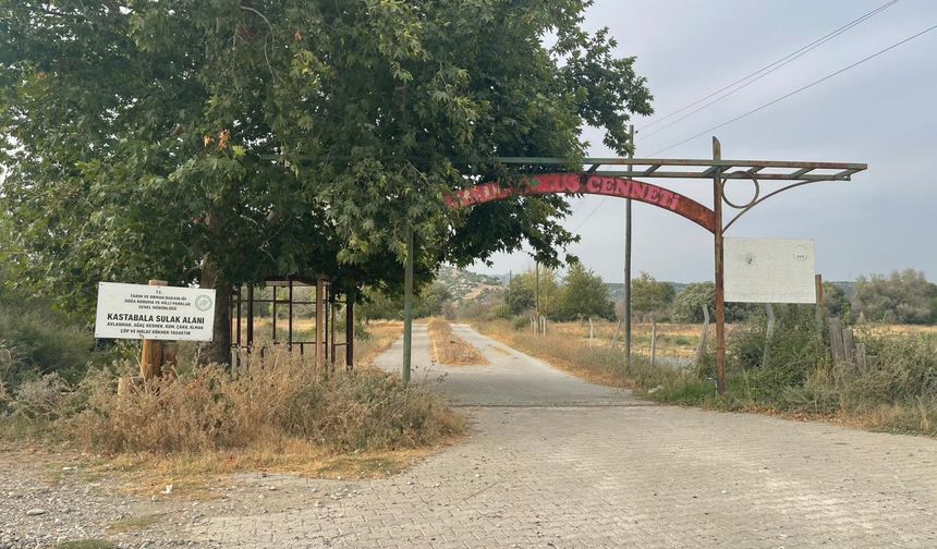 Osmaniye’de Kuş Cennetleri Kuraklık ve Tahribatla Tehdit Altında