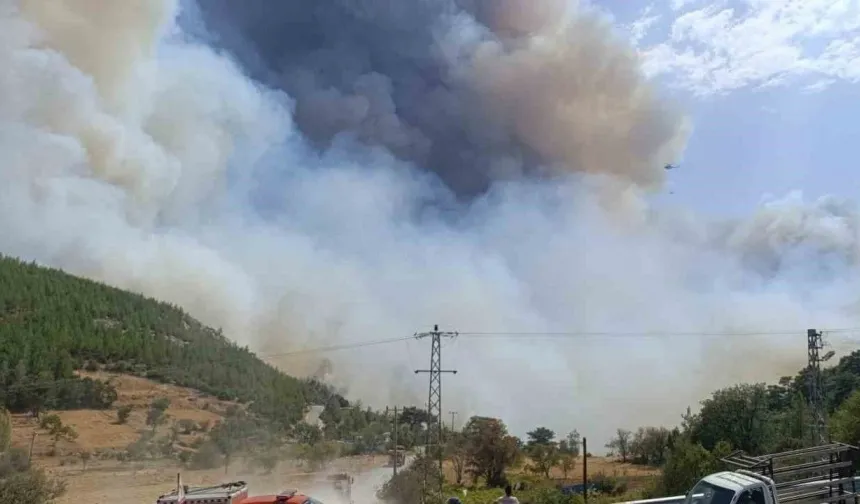 Mersin Silifke’de Orman Yangını