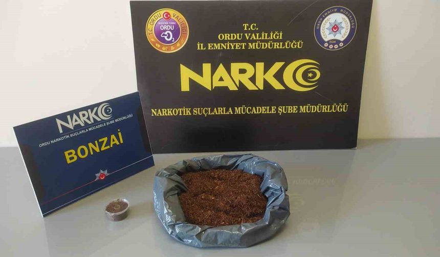 Ordu’da Uyuşturucu Operasyonları 2 Tutuklama, 1 Adli Kontrol