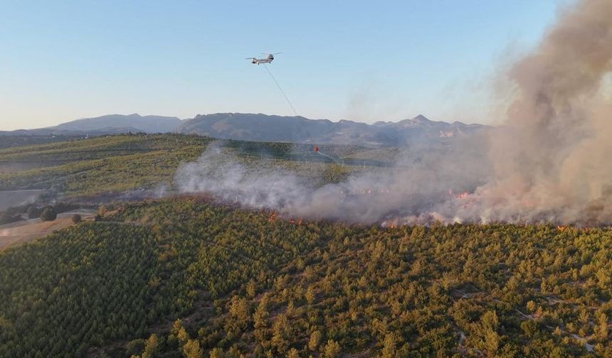 Sumbas’taki Yangına 3 Helikopter ve 1 Uçakla Müdahale