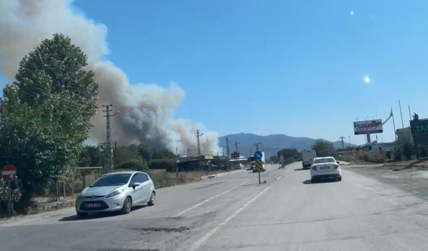 Son Dakika: Düziçi Yarbaşı Karacaören’de Yangın