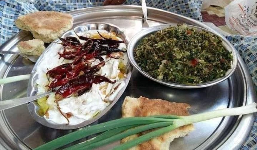 Zeytinyağı, Otlar ve Harmandalı Ege’den Gelen Sıcaklık