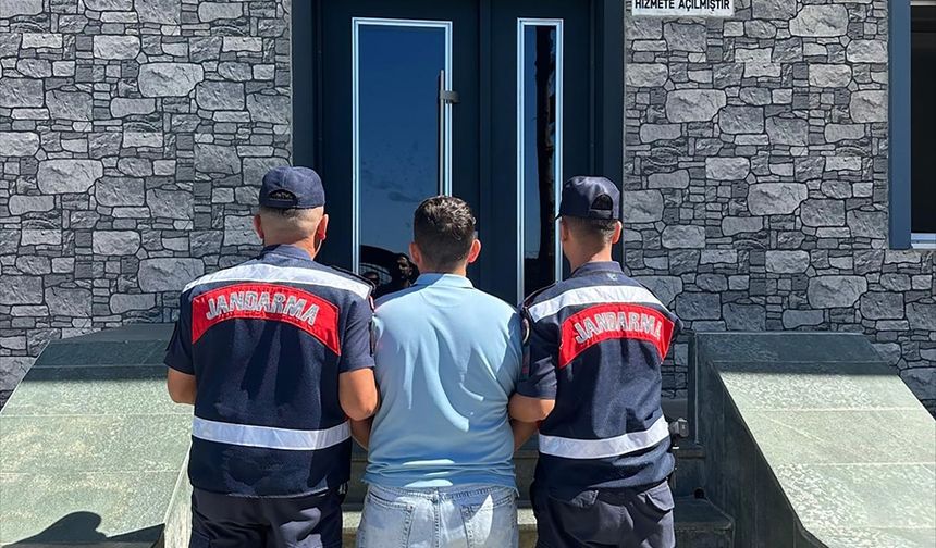 Alanya'da orman yangınının kontrol altına alınmasının ardından soğutma çalışmaları başlatıldı