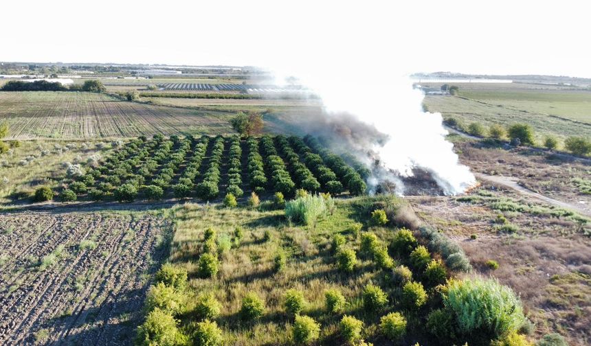 Antalya'da otluk ve sazlık alanda çıkan yangınlar söndürüldü