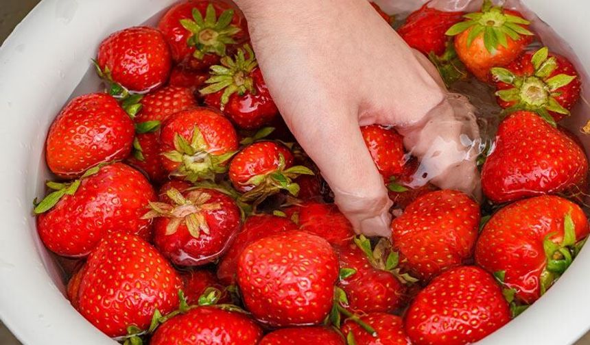 Çileğin Tazeliğini Korumak İçin Uzman Önerisi