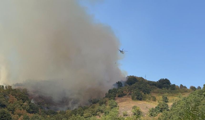 Düzce’de orman yangını Ekipler müdahale ediyor