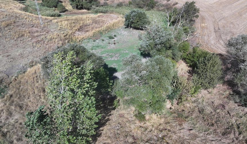 Edirne'deki Musabeyli Göleti kuraklık nedeniyle tamamen kurudu