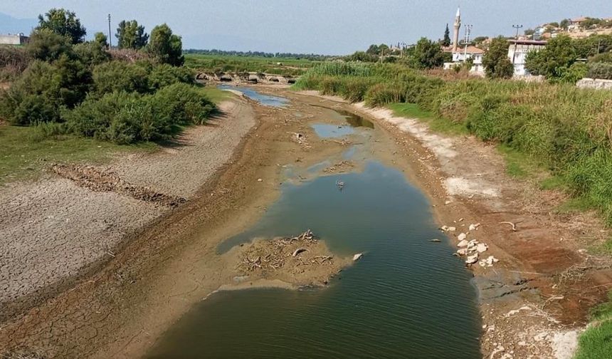 Gediz Nehri’nin Çığlığı: Tarım ve Ekosistem Tehdit Altında