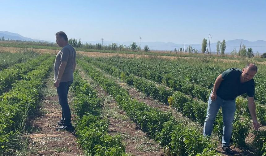 Konya Beyşehir’de Üretici Ziyaretleri ve Saha Kontrolleri
