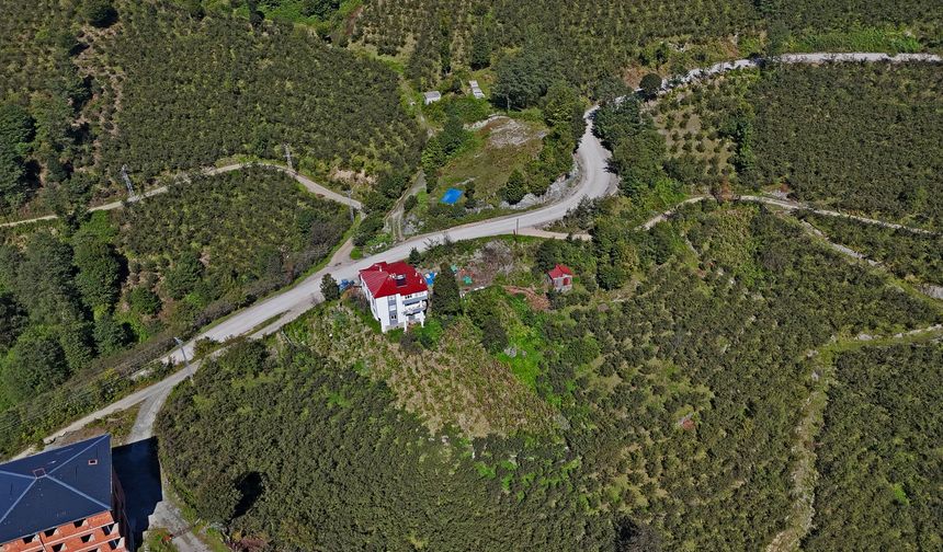 Gürgentepe’ye Asfalt Dokunuşu: Işıktepe-Yurtseven-Tepeköy Grup Yolunda Çalışmalar Sürüyor