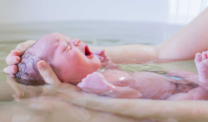 Dünya Nüfusu Alarm Veriyor Doğum Azalıyor, Denge Bozuluyor