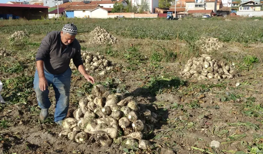 Kütahya Çiftçileri 350 Bin Ton Pancar Bekliyor