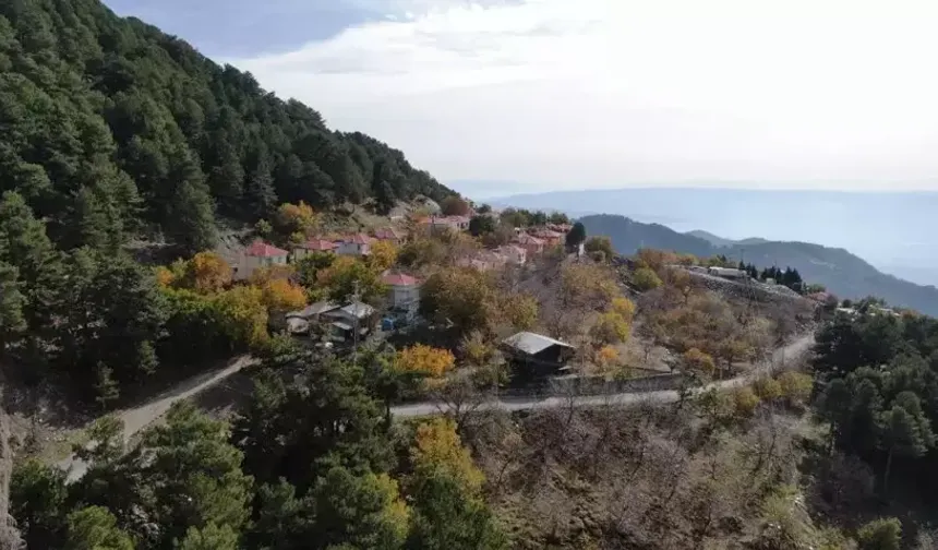 Aydın Paşa Yaylası Sonbaharın Renk Cümbüşüne Büründü