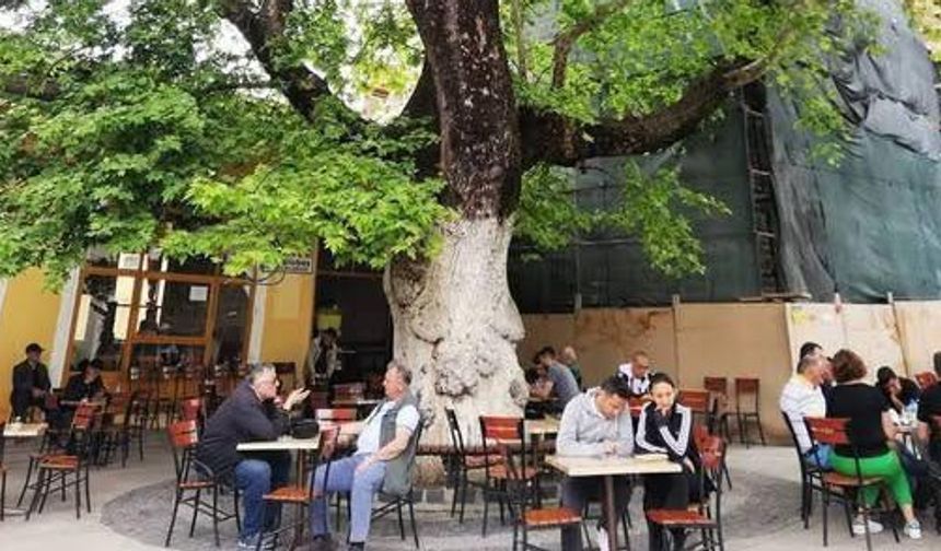 Bergama’daki Çınarlıkahve Korunuyor, Osmaniye’de Benzeri Yapı Kaybedildi