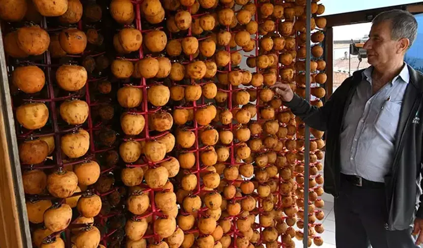 Çanakkaleli Çiftçi Kuruttuğu Hurmayla 2 Kat Kazanıyor