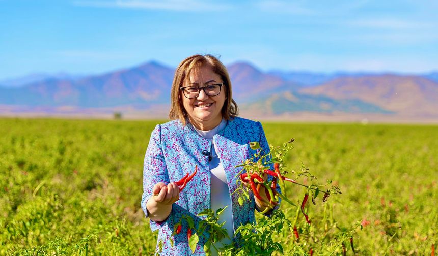 İslahiye Biberi Güneşin ve Toprağın Bereketi
