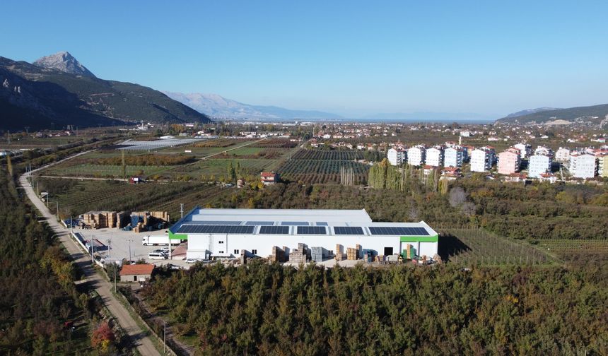 Isparta elması soğuk hava depolarında korunuyor