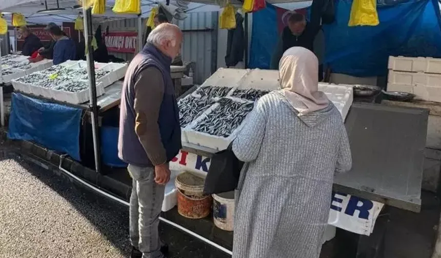Karadeniz Tezgahlarında Hamsi ve Çeşit Bolluğu Yaşanıyor
