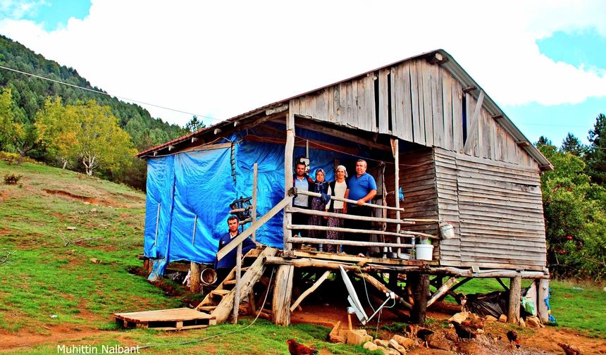 Kızlarufacıığı Yaylası İslahiye Yaylalarının Cennet Köşesi