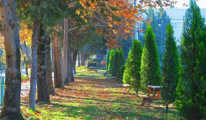 OKÜ Kampüsünde Sonbahar Güzelliği