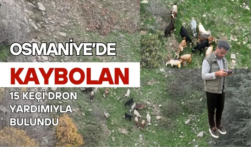 Osmaniye'de Drone ile Kayıp Keçiler Bulundu