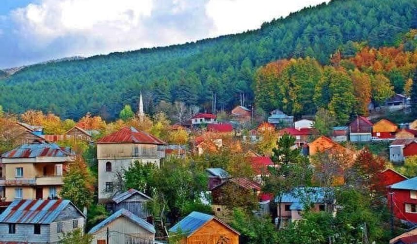 Orman Alanlarında İnfaz Süreci Başladı