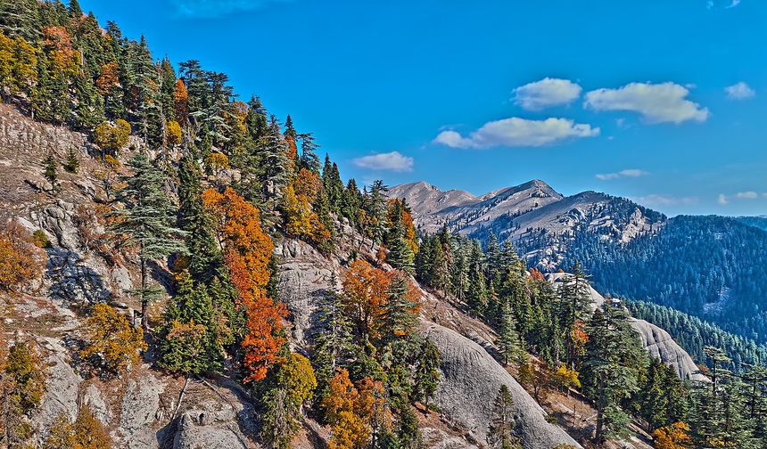 Toklu Yaylası Osmaniye’nin Yükselen Turizm Noktası