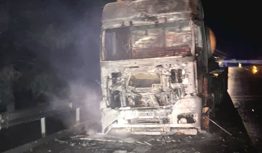 Adana'da seyir halindeki tankerde başlayıp ormanlık alana sıçrayan yangın söndürüldü