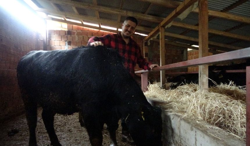 Yoğun Temponun Ardından Hayvancılığa Adım Attılar