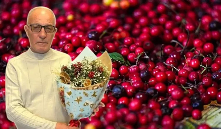 Bolu’da Aralık Ayının Gözdesi Kokina 400–500 TL