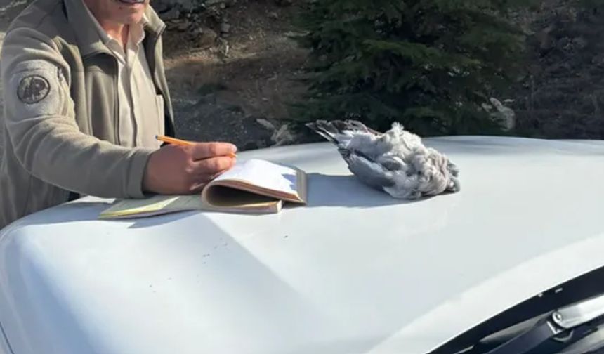 Burdur'da kaçak avcılık yapan 4 kişiye 40 bin lira ceza