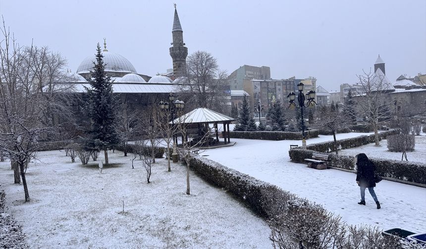 Erzurum, Kars, Ardahan ve Tunceli'de kar etkili oluyor
