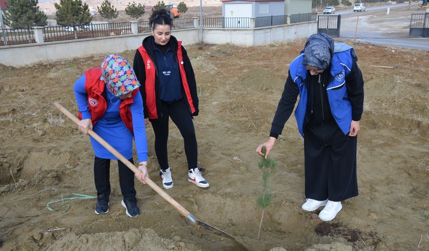 Kahramanmaraş'ta şehit 20 askerin ismi fidanlarda yaşayacak