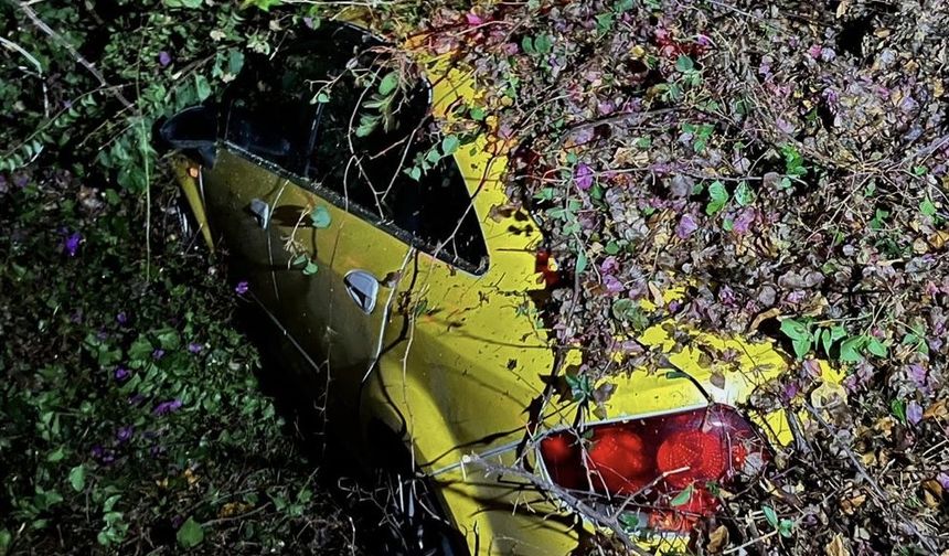 Mersin'de seyir halindeki taksi, devrilen ağacın altında kaldı