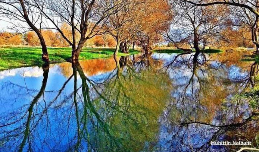 Osmaniye Yeniköy Kuş Cenneti büyülemeye devam ediyor