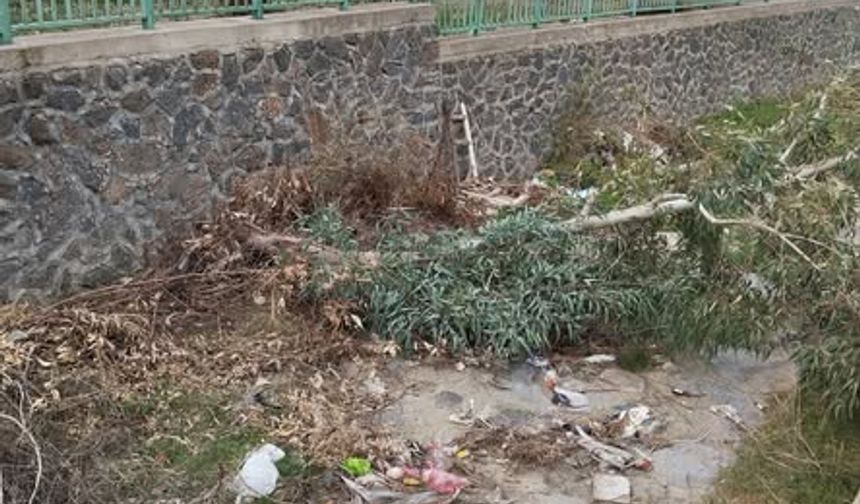 Şiddetli Rüzgar Bağlama Çayı’nda Ağacı Devirdi!