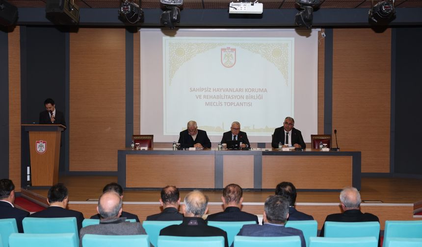 Sivas’ta Sahipsiz Hayvanlar Gündemde