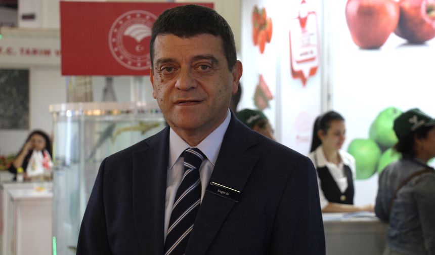 Türkiye'den yurt dışına sebzede en çok domates, salatalık ve biber tohumu gönderiliyor