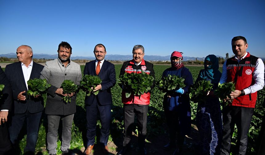 Vali Yılmaz Kadirli’de Hasada Katıldı