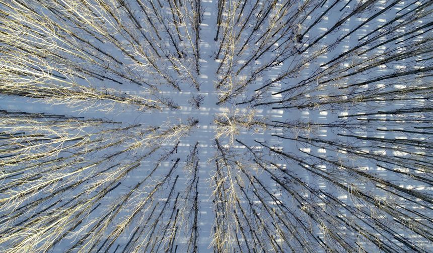 Mardin'de karla kaplanan Savur Çayı havzası dronla görüntülendi